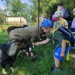 phoca_thumb_m_motlci vlet 11 Fotogalerie